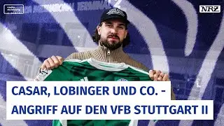 MSV Duisburg: Casar, Lobinger und Co. – Angriff auf den VfB Stuttgart II