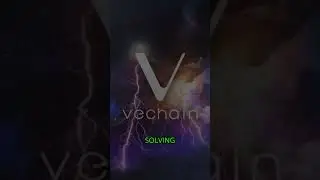 VeChain explained in 30 seconds #VET