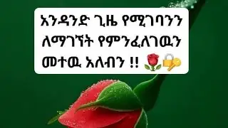 ZUZU you tube is live#አንዳንድ #ጊዜ #የሚገባንን #ለማግኘት#የምንፈልገውን #መተው #አለብን##💕💕