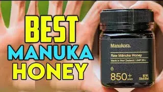 Manuka Honey Brands That Will Take Your Health to the Next Level  🐝🐝🍯