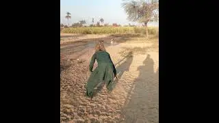 Wolf mask prank with dog #shorts #viral #funny