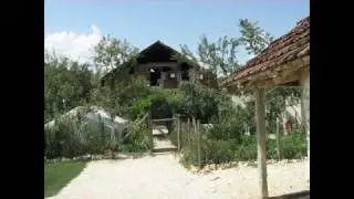kololec 2008
