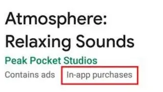 Meaning of In-App Purchases on iPhone