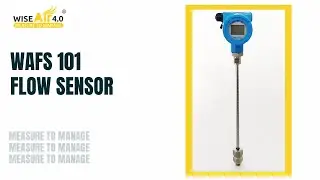 Thermal Mass Flow Meter Installation- WAFS 101