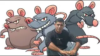 Ra&uacute;l heraud, las ratas