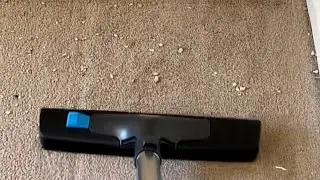 Natural vacuuming compilation