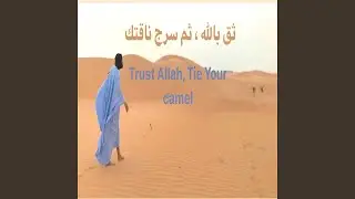 Money Halal