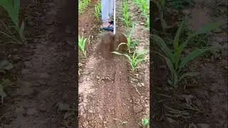 Modification of soil loosening machine #farming #shorts