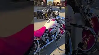#harleydavidson #softail #roadking #pearlwhite #pink #black #gold #shinko #bassani #vicla #cholo