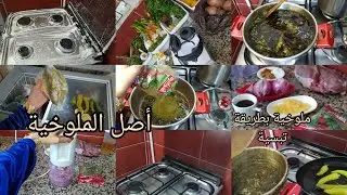 روتين مسائي🥰 ملوخية جدتي😍 الحقيقة لي متحبوش تسمعوها🤗 قصة الملوخية بين الشعوب