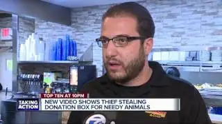 New video shows thief stealing donation box for needy animals