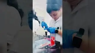 Gel Electrophoresis 🧬 #lab #internship #biotechnology #research #ytshorts #science #2025