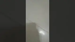 yo en ingl&eacute;s hablando con el pana gringo