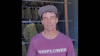 DriFlower's 41