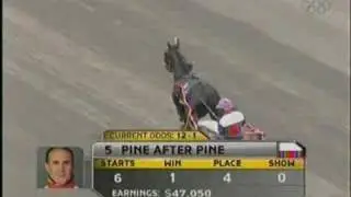 2008 Hambletonian Post Parade