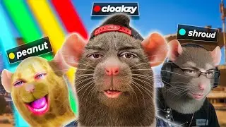 ME AND MY RAT FAMILY