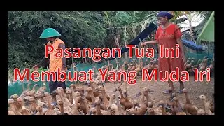 Kegigihan Penggembala bebek -- Usia Bukan Halangan Tetap Mesra Dalam Pengembaraan