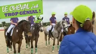 Le Cheval c'est Trop Génial - Episode 25 - Animaux