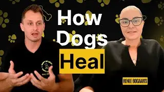 Rewriting Dog Training: Connection & Stress-Free Leadership with Dingo Doggies&rsquo; Renee
