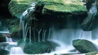 Peaceful Mind Melodies For Calm Nights And Gentle Rest 🌌 | By Peaceful Mind Melodies