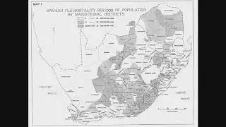 The 'Spanish Flu' pandemic of 191-19 Lecture 2