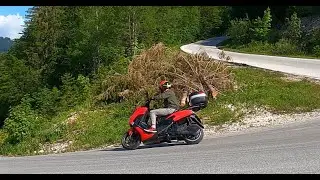 Tiger S v ALPÁCH