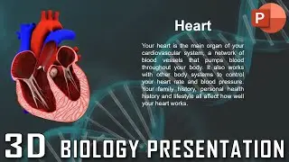 3D Anatomy of the Heart PowerPoint Presentation | Biology PowerPoint Presentation