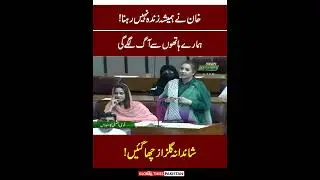 Shandana Gulzar Aggressive Speech National Assembly | Imran Khan | Pravin Sawhney | India Pakistan