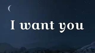 I Want You | Late Night Lofi Love Song | Romantic Lyrics Video