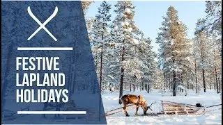 The possibilities are endless on a festive Lapland holiday | Iglu Ski
