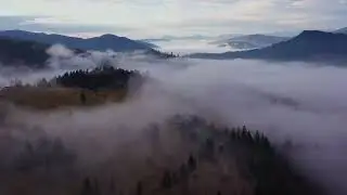 Cabana Dor de Apuseni