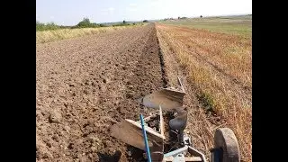 Orka po gryce (Ursus 360 Rabewerk Taube k60)