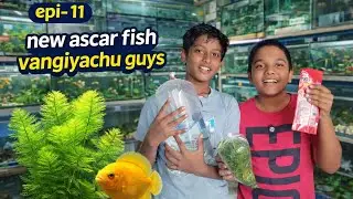 Ascar fish 🐠 foxtail plant vangiyachu 😃🐠😍📈#fish #fishtank