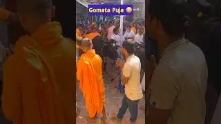 Gomata Puja At ISKCON 😍 #hinduism #shorts