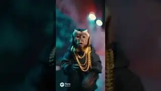 #MonoRapero #VideoCreativo #HumorUrbano#ContenidoViral #Animales #Rap #Creatividad #ParaCreadores