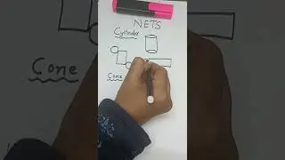 #shorts net cylinder net cone