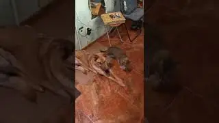 Соблюдаем режим 💪😊☝️