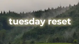 Tuesday Grounding Reset | Find Your Rhythm