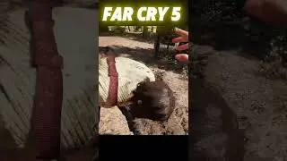 🗡️ 