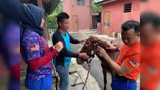 Cdert PGSS - Pasca Banjir 2021