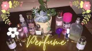 PERFUME COLLECTION! Dossier Calvin Klein Marc Jacobs DKNY Coach Burberry Carolina H Avon + MUCH MORE