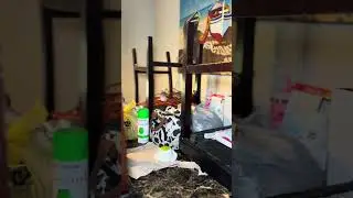Quick reset cleaning 2 clear my mind and space. Real life motivation. #Cleaning #Reset #Shorts#asmr