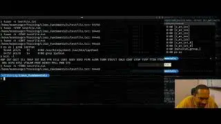 Linux command-line: Find out which processes have opened a file