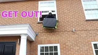 my parents kicked me out the house