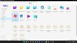 Stock Issue and Adjustment (MALAY)