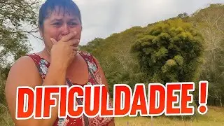 A VERDADE SOBRE DONA MAZ&Eacute; COMOVEU A INTERNET 💔 &mdash;TODOS UNIDOS POR ELA!