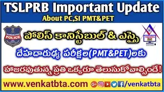 TSLPRB Update about PMT&PET