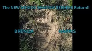 NAVAJO CRYPTID ENCOUNTERS II/ BRENDA HARRIS