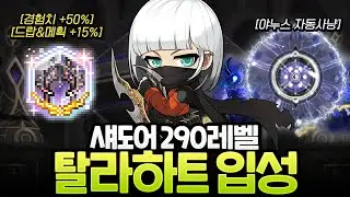 최종지역 탈라하트에 입성한 섀도어! 솔 야누스만 써도 제자리 사냥..? [메이플]