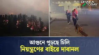 ভয়াবহ দা*বানলে পু*ড়ছে চিলি, প্রাণ গেল ১৮ জনের I Chile Wildfire | Dhaka Today I News Update